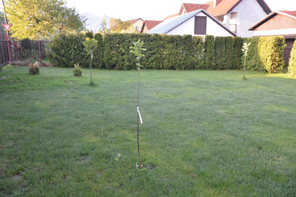 Privat Alexandra Apartamento Liptovský Mikuláš Exterior foto